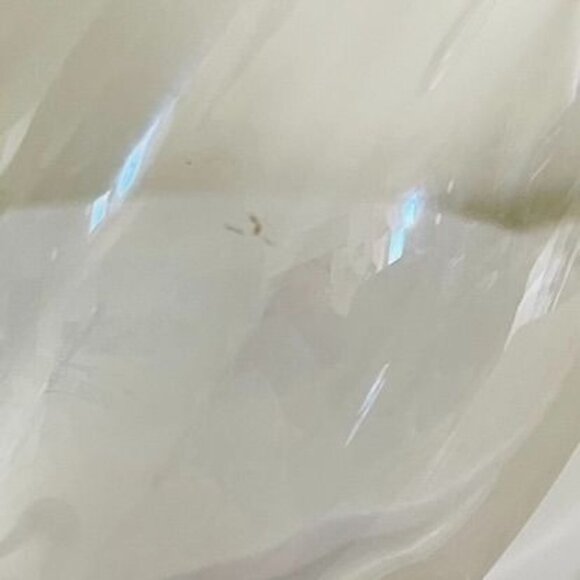 Stella Artois Beer Glass 8" Tall With Gold Rim Belgium Design For Collectors - Picture 8 of 13